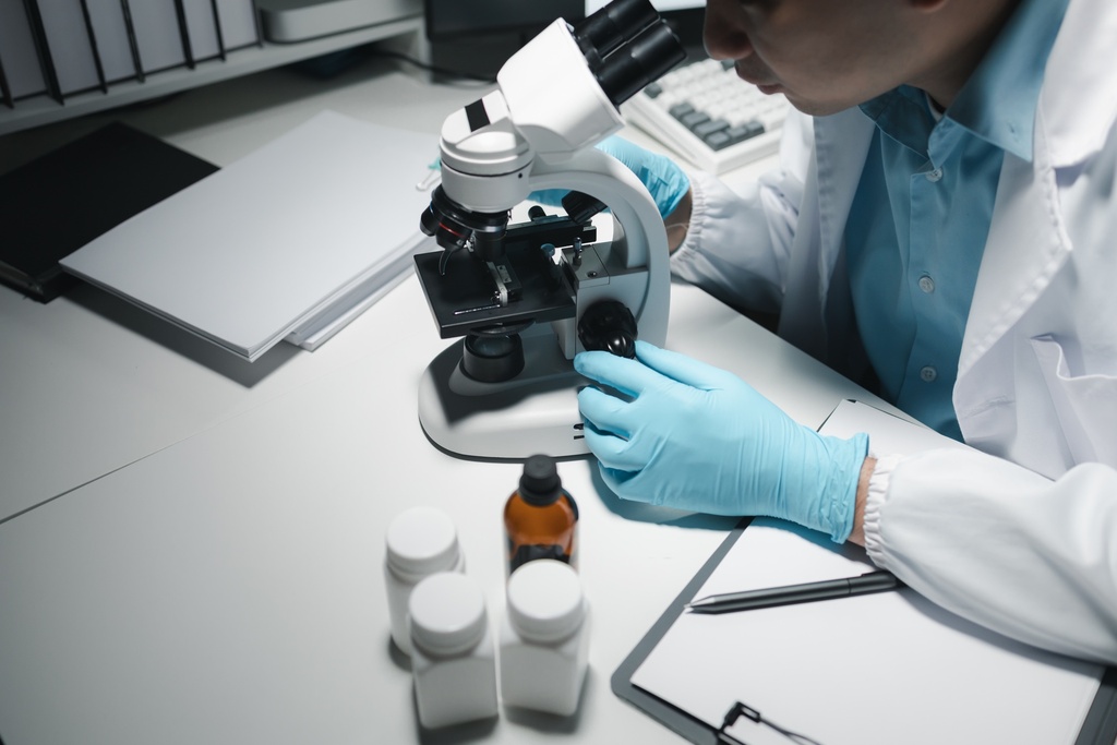 AAVS1 Positive Control EGIP 293T Reporter Cell Line   