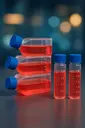 [iCell-m031] Mouse Embryonic Osteoblasts (MC3T3-E1)
