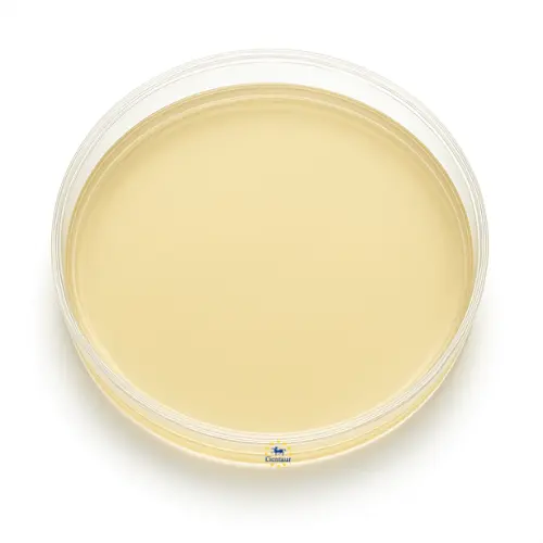 A8 Agar